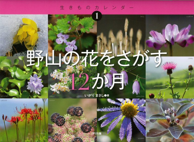 野の花を探す12カ月